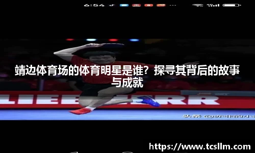 WM完美真人