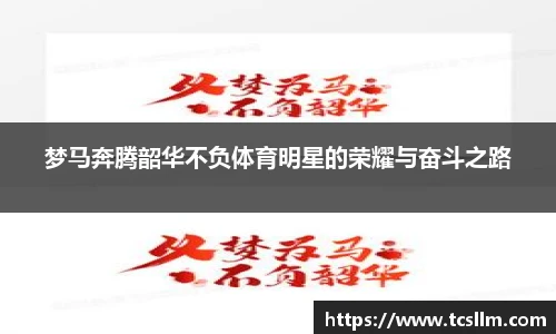 WM完美真人
