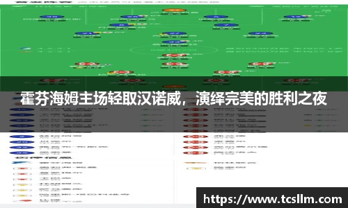 霍芬海姆主场轻取汉诺威，演绎完美的胜利之夜