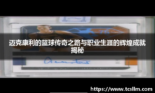 WM真人